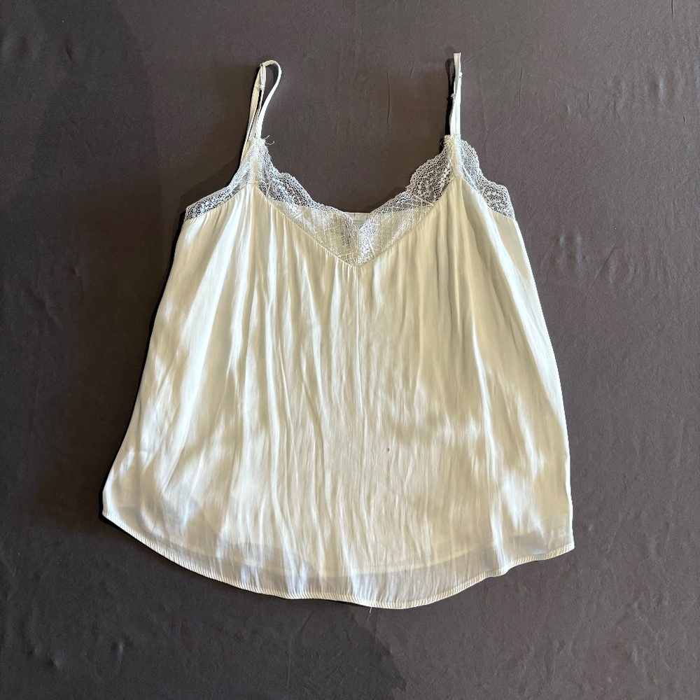 Allison Joy (Evereve) Satin Slip Tank with Lace Detailing